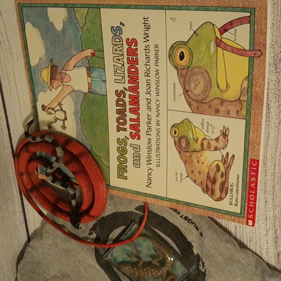 BugsT 3D Lizard Tee, Book, Toy - Picture 2 of 16